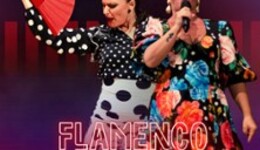 Flamenco Night